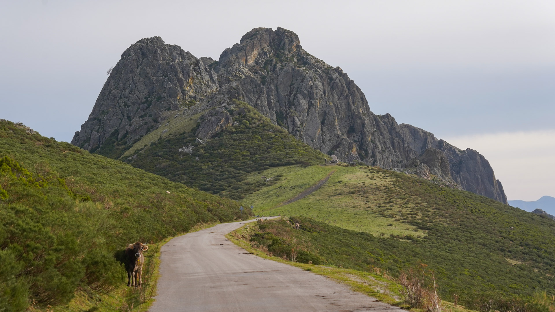 route de montagne se dirigeant vers un sommet dans les Picos