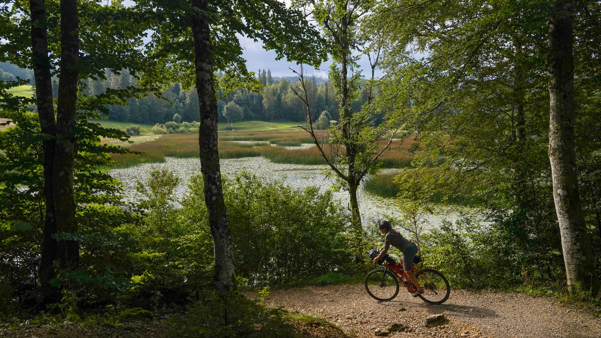 cycliste une une piste en forêt avec un étang en fond