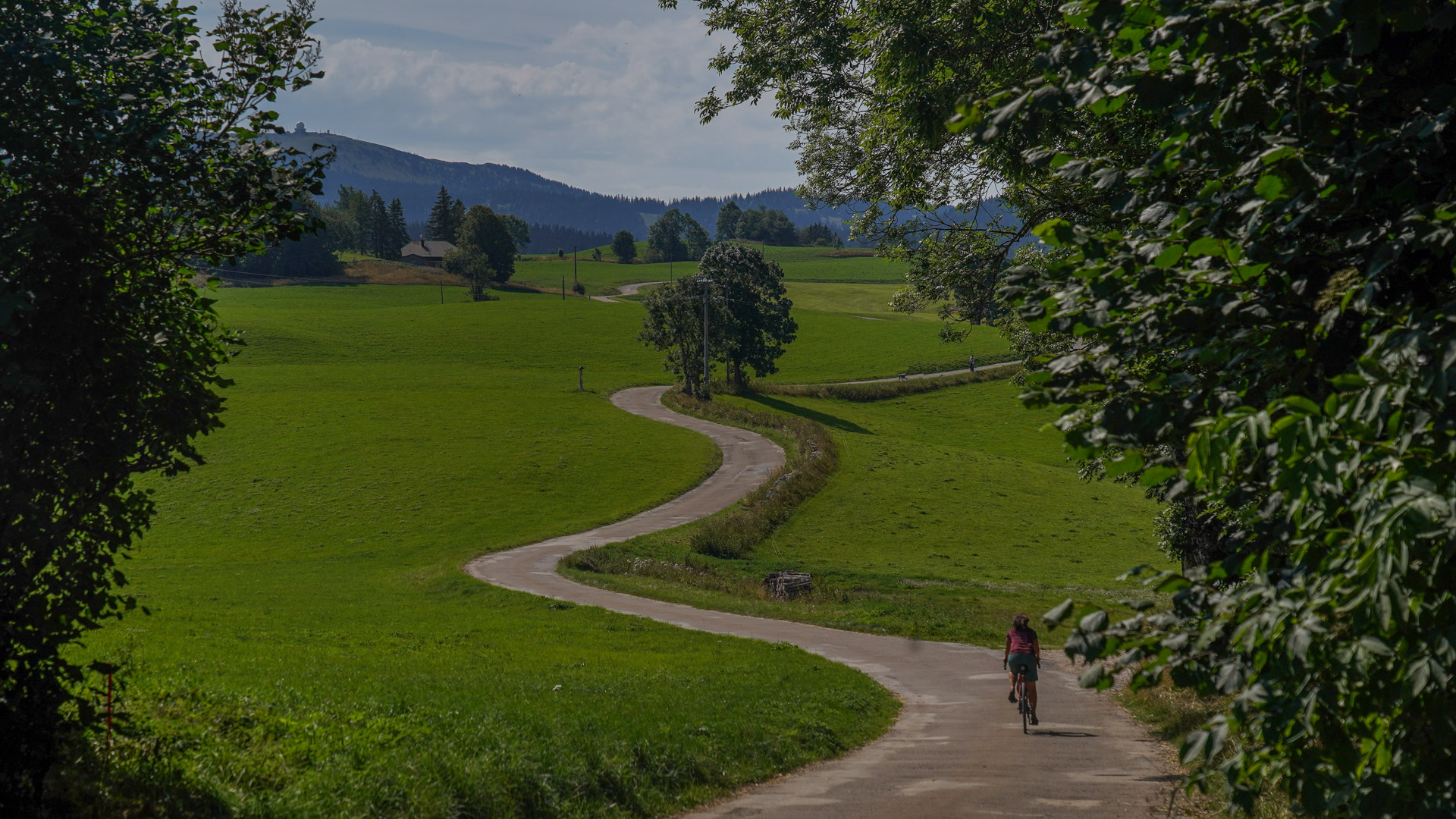un cycliste gravel sur une petite route isolée au milieu des alpages