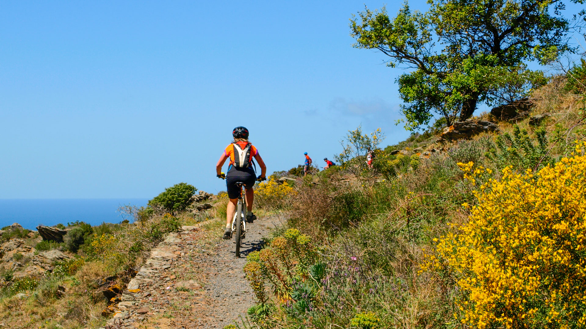 Femme en vtt monte sur une piste et domine la mer