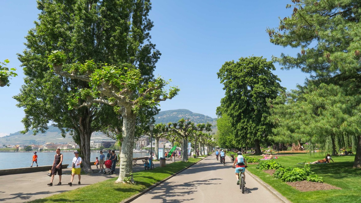 Parc arboré au bord du lac Léman