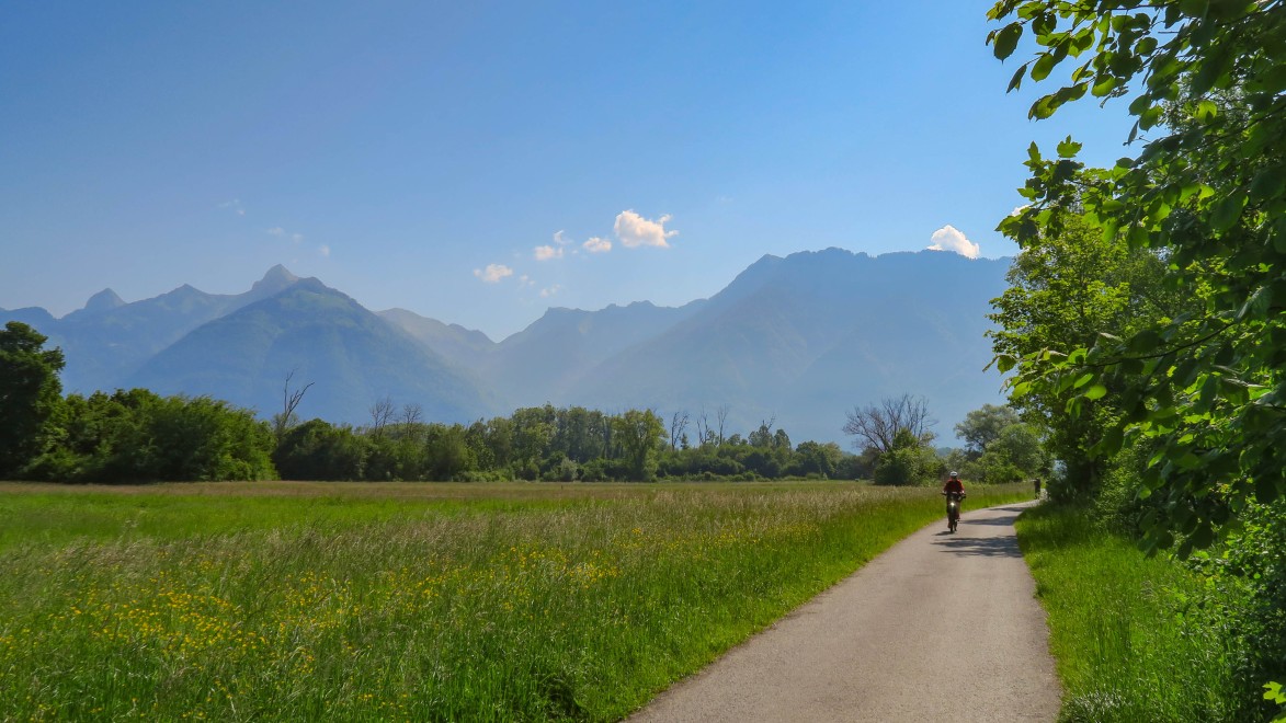 Cyclistes sur une petite route dans un paysage verdoyant