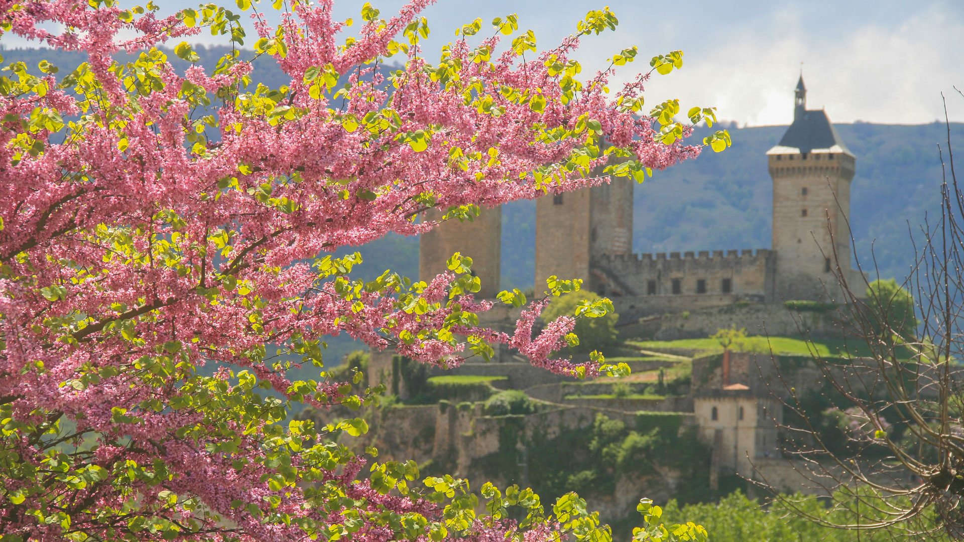 château pays cathare
