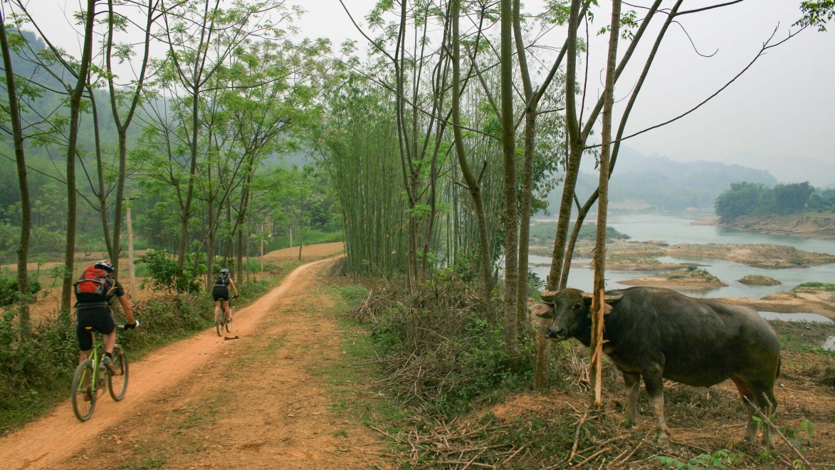 voyageurs à vélo sur une piste au Vietnam