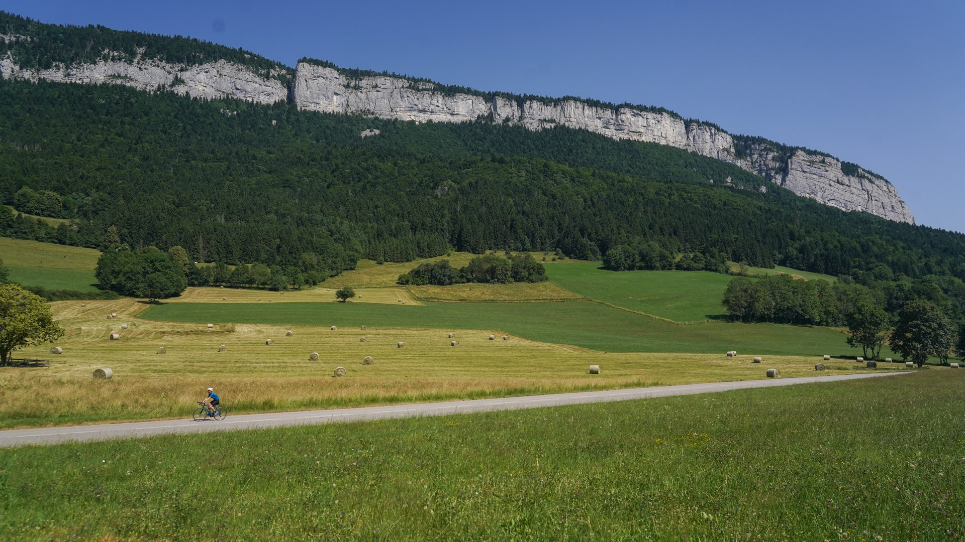 cycliste sur une route sauvage entourée de pâturages
