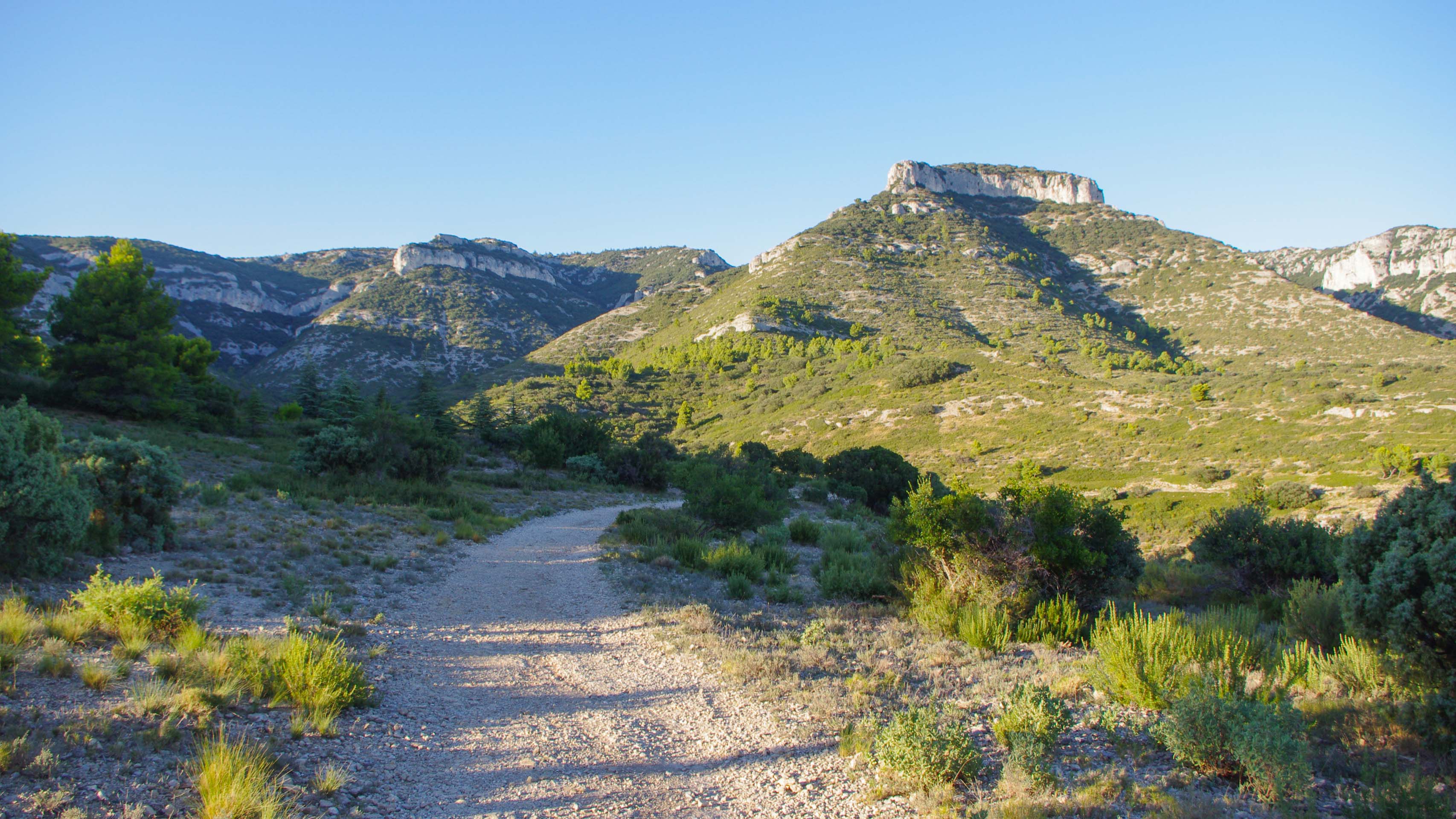 une piste dans le massif du Petit Luberon