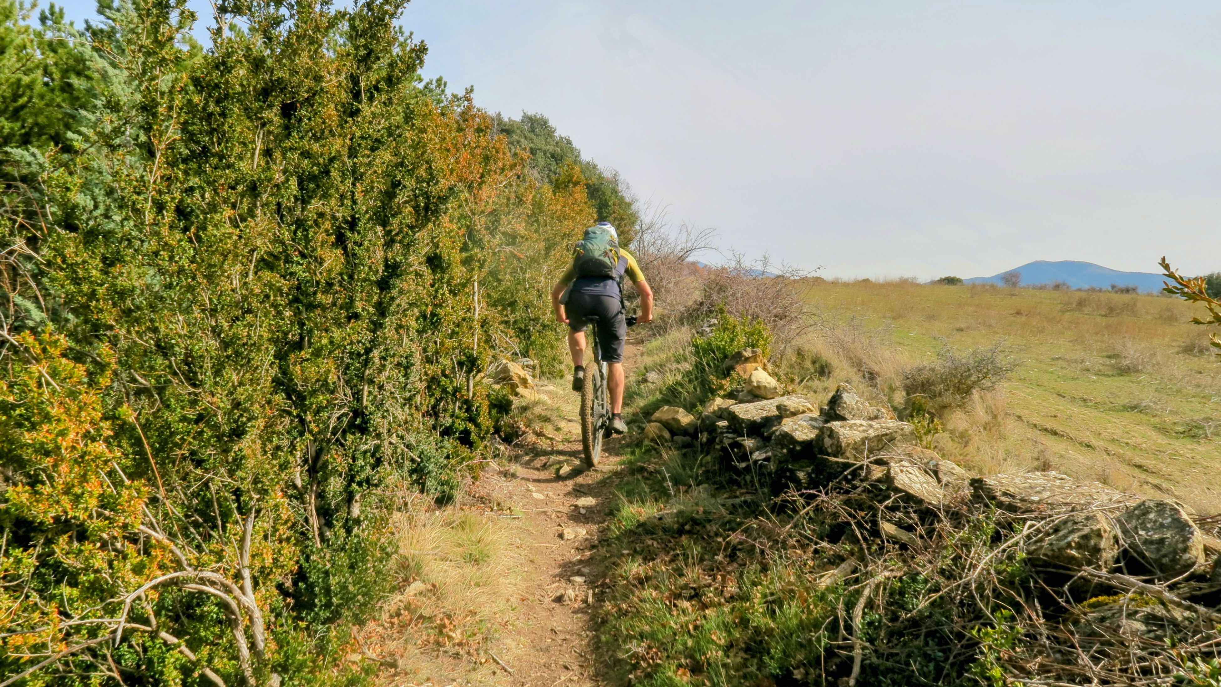 vététiste un superbe singletrack joueur montant et descendant