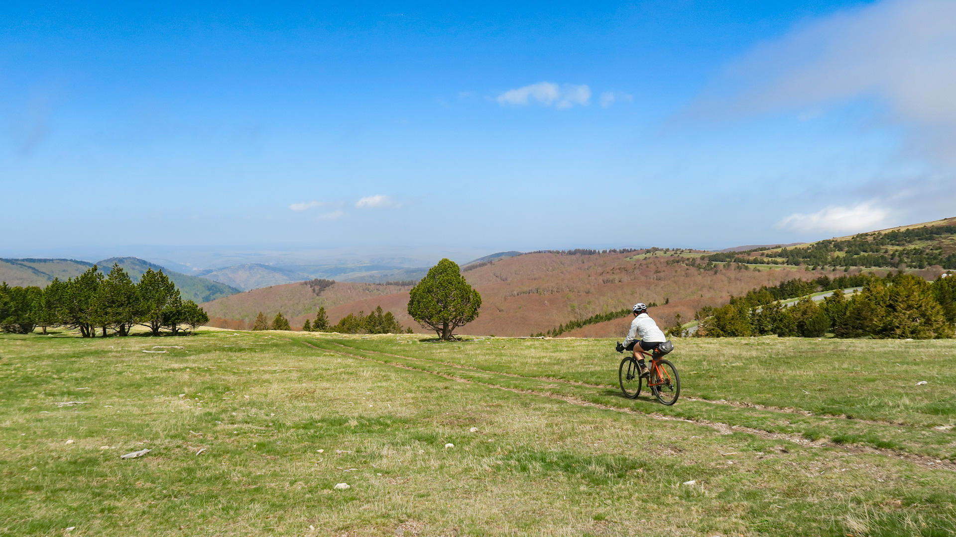 femme cycliste gravel sur une piste ponctuée de pin noirs dans les causses noir