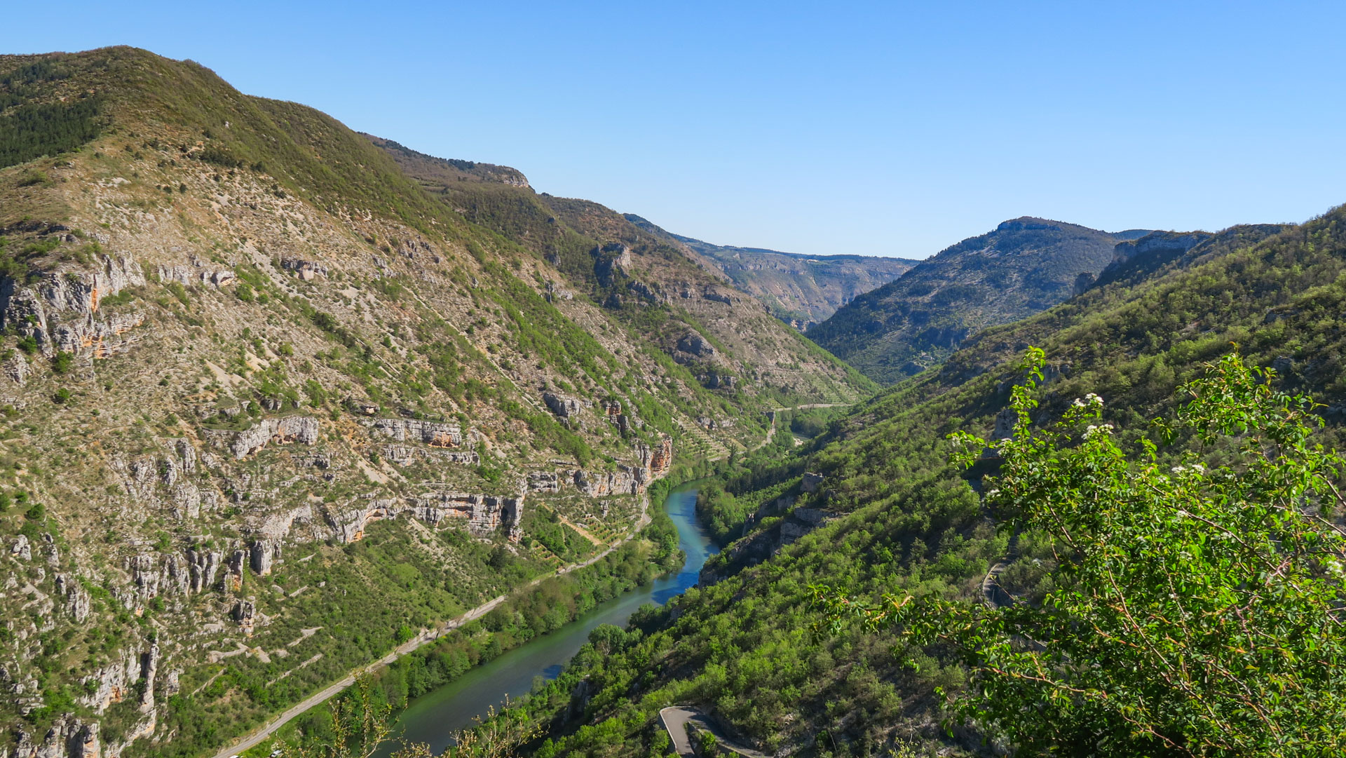 gorges du tarn dans les cevennes