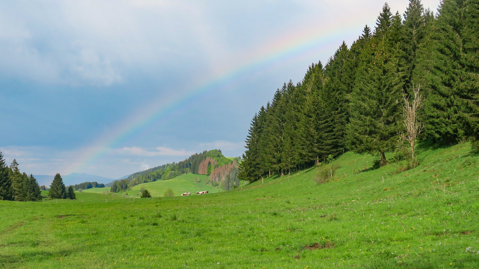 paysage de campagne du Jura avec un arc en ciel