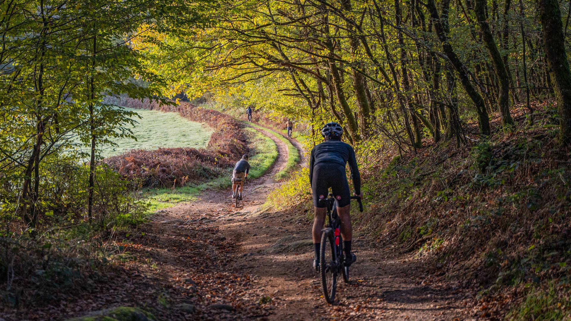 cyclistes gravel sur une piste forestière dans le Morvan