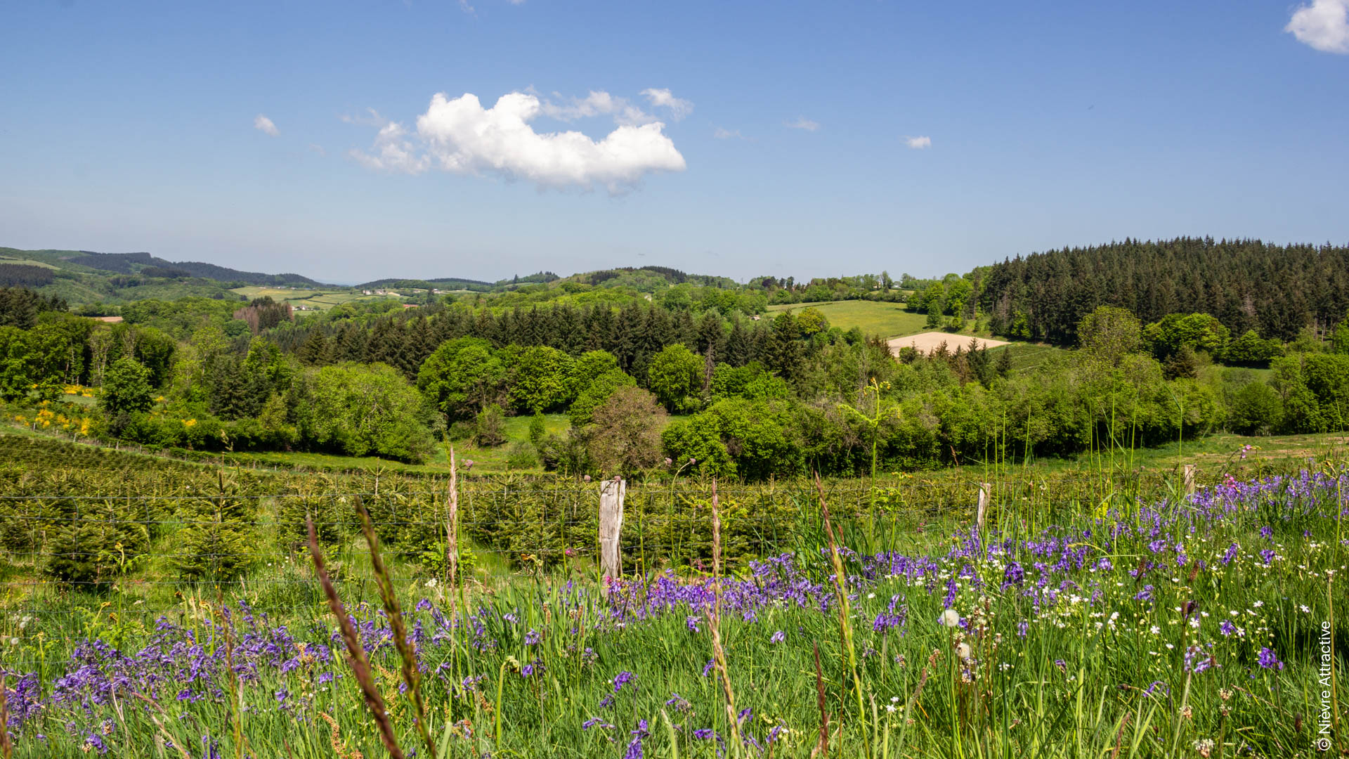 paysage de campagne dans le Morvan