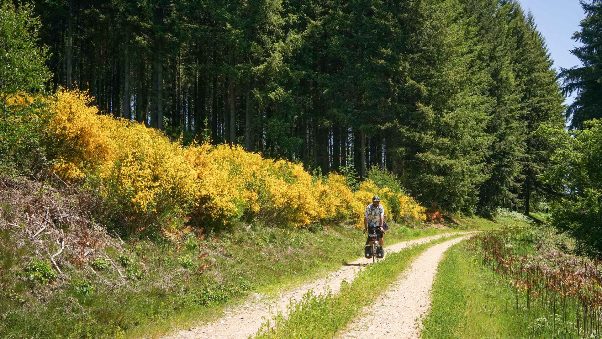 cycliste gravel sur une piste forestière dans le Morvan
