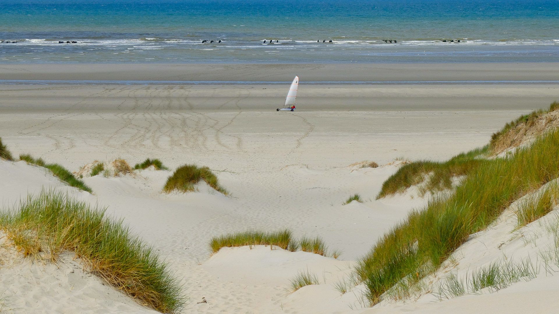 une grande étendue de sable au premier plan, attire notre regarde sur un char à voile au milieu de l'image. Derrière ce char, on peut voir la mer