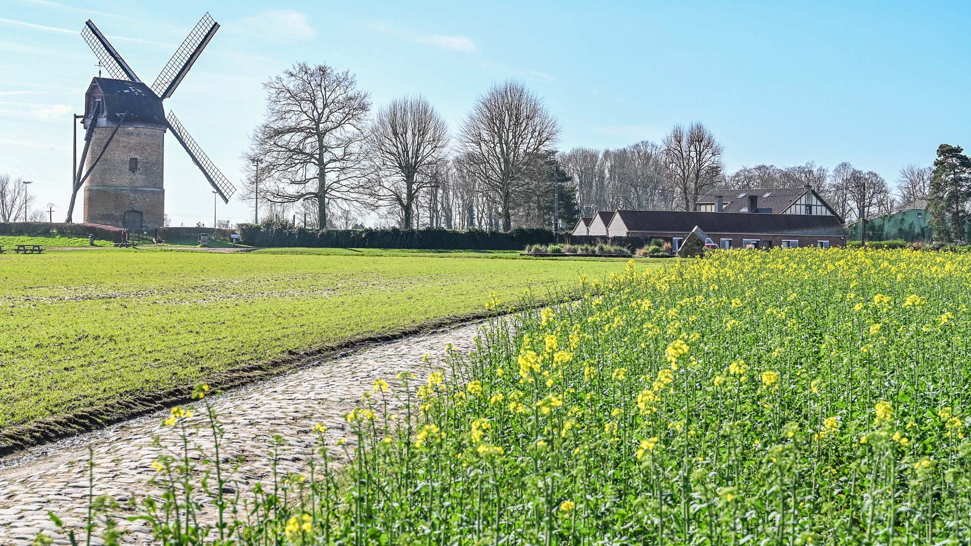 route pavée et moulin Vertain