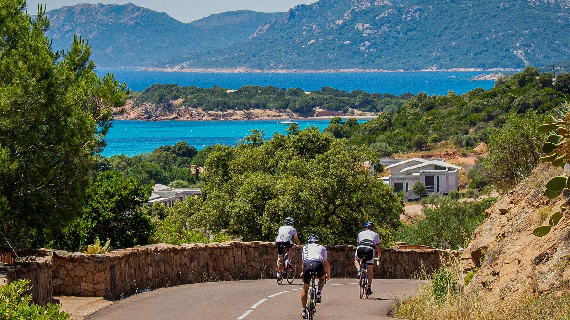 cyclistes sur une route en bord de mer