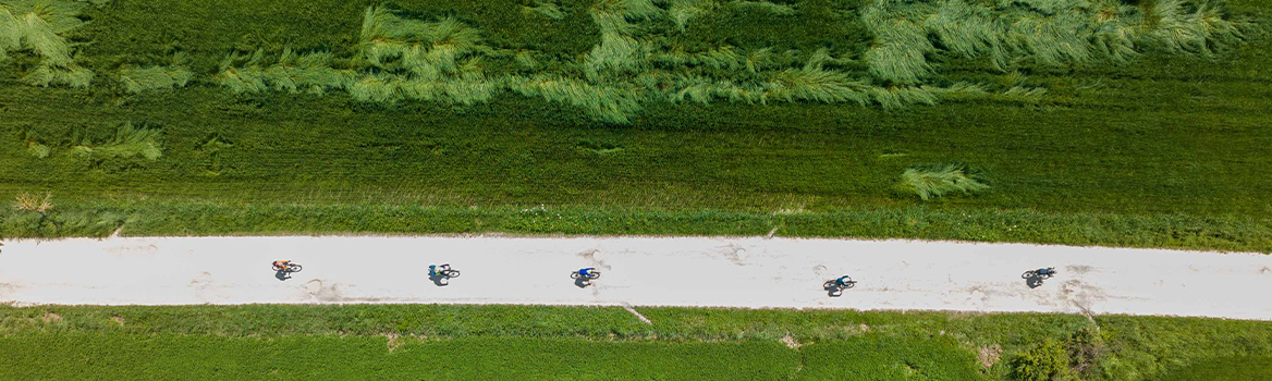 pendant l'ascension du Stelvio, célèbre col cyclo d'Italie