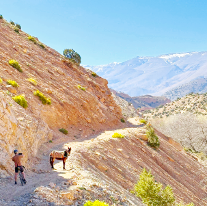 femme à vélo de route au maroc
