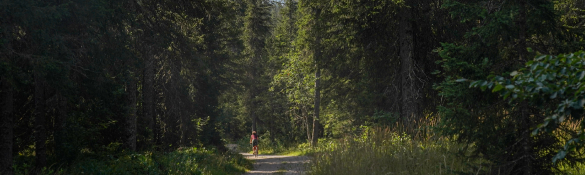 Femme en vélo de route au bord d'un lac