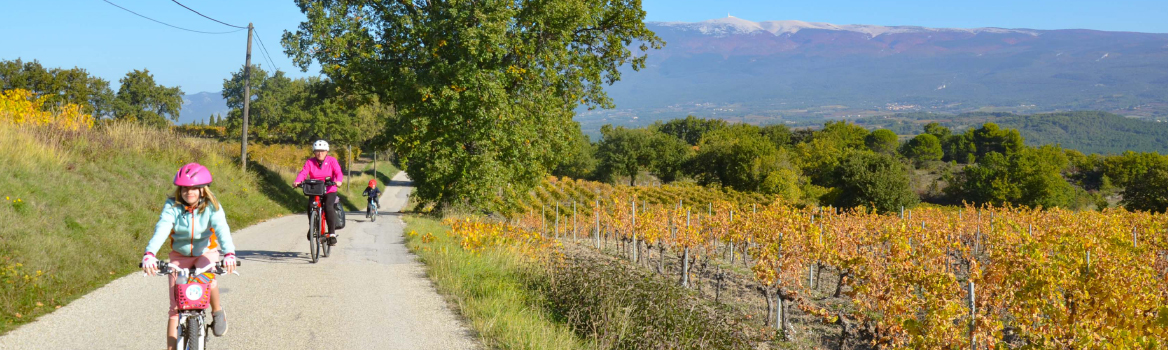 Une grand-mère et ses petits enfants à vélo l'automne en provence