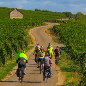 Un groupe accompagné en Bourgogne