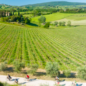 Vélo gravel sur les pistes du massif des Bauges en Savoie