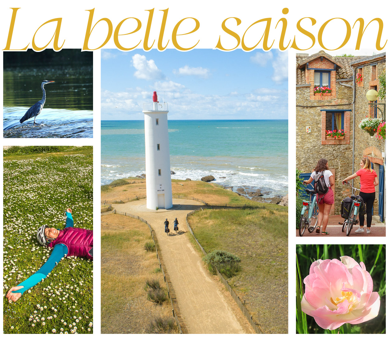 Image :Newsletter : les nouveautés pour la belle saison !