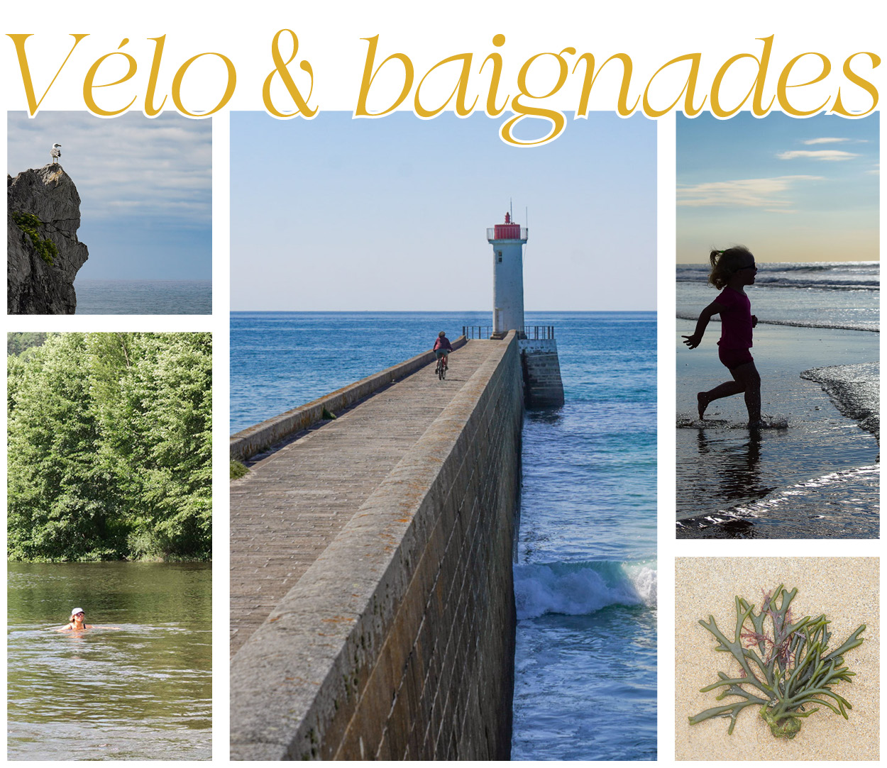 Image :Newsletter : vélo et baignades !