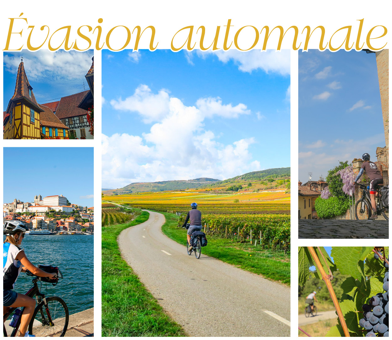 Image :Newsletter : évasions automnales en liberté