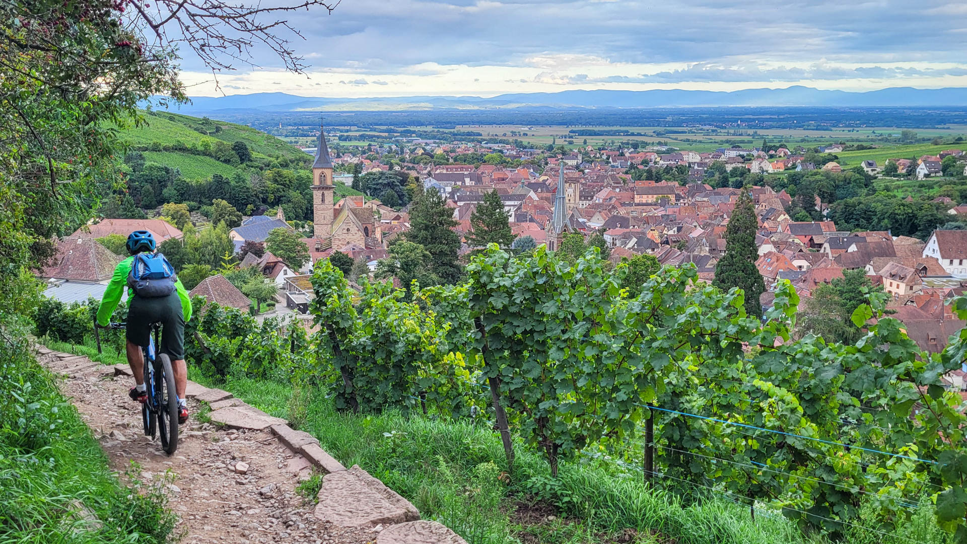 Image :Nouveauté : L'Alsace à VTT !