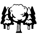 picto Bain de forêt