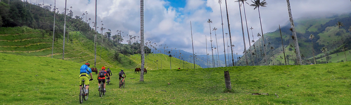 groupe effectuant un voyage VTT en Colombie dans une atmosphère tropicale