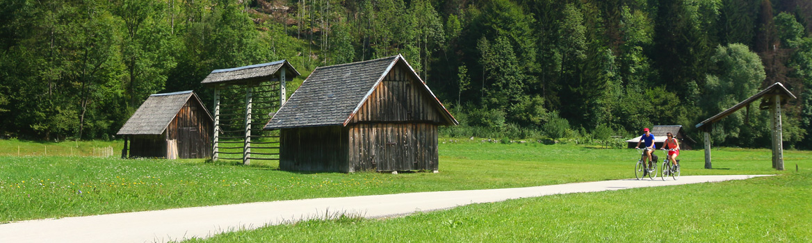 Voyage à vélo sur une voie verte dans une belle campagne en Slovénie