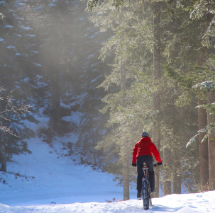 Fat bike dans le vercors