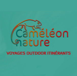 logo caméléon nature