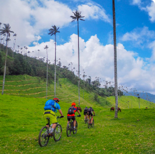 VTT en Colombie dans une ambiance tropicale